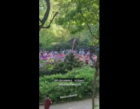 People in Park Walk in Circle and Chant 