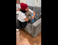 Dog comes to visit grandma with luggage