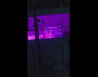 Big window lights up purple for photoshoot 