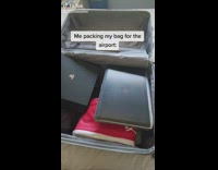 Blue luggage airport neon vest guy pool 