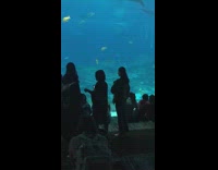 Collab IITW - woman stands in front of large under water aquarium