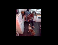 Dog jumps while food fell in sink