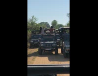 Girls take selfie on a safari