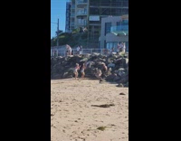 Two girls bikini shorts dance beach rocks