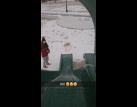 Collab Clips mpugc - Dog slide jumps off onto snow