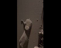 Collab Clips MPUGC2 - Man imprints body on 3d pin board 