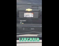 This Fuckin Guy Gnarlyy License Plate