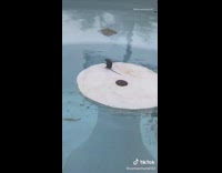 Rat inside of pool stuck shovel