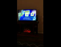 Tall brown dog sits upright on couch and watches the puppybowl on tv