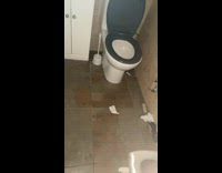 Black and white cat hissing on window in bathroom