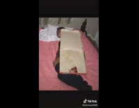 Sorry boys I forgot to give you blankets 