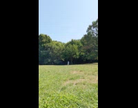 Man practice fly fishing at park grass