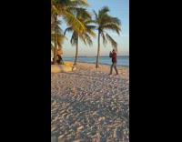 Guy brown furry mask palm tree beach