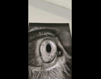 Artist Shows Realistic Art Drawing 