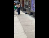 Women fight and pull hair on street