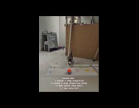 Collab PLC - Cat plays soccer in an art museum