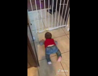 Little boy crawls under white baby gate 