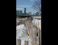 Woman silver jacket dance snow stick fence