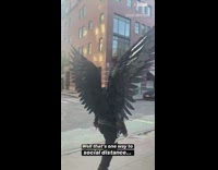 man black angel wings walks street