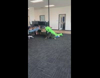 Woman in office in alien costume kidnapping