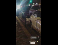 Wild raccoon crawl and roam street night