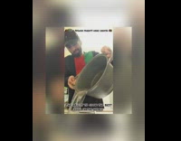 How Afghan parents were created