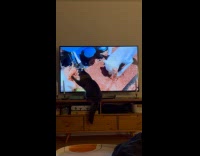 Cat touch TV watch Daily Dose Of Internet