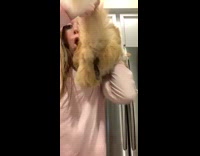Girl holds pooping cat and screams