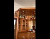 Guy dips dandelion in water not waterproof