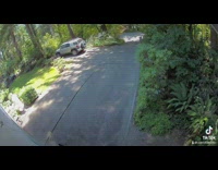 Delivery driver pees on front lawn