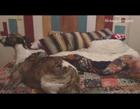 Girl blows on butt dog patchwork quilt 