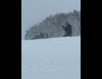 Collab IITW - Two people continues photoshoot with snowstorm outside Part 1