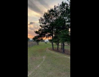 Guy records two friends racing horses 