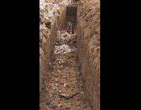 corgi runs mud trail