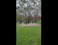 Group of Guys Have a Fake Battle with Shields and Swords in a Park 