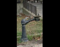 A squirrel drinks at the water fountain in New York
