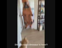 Collab Pets For All - Guy inflatable dinosaur costume scares brown dog 