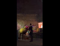 Couple put lights on bull elk statue