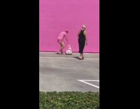 Woman all pink pet dog pink car