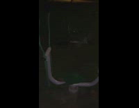 Elliptical machine at the park moving by itself 
