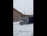 Man fails to do snow angel 