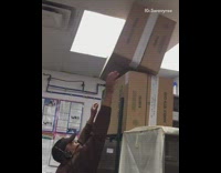 guy in brown drops a box on his head