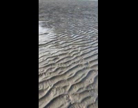 Tide reaching the beach