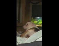 Two dogs come to comfort woman crying in bed