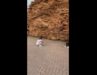 Girl climbs poses wood stick sculpture art