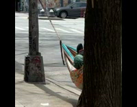 Guy swings on sidewalk hammock 