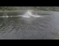 man red shirt rope swings cannon ball to lake