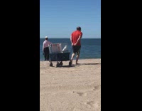 Guy brings bird in cage in wagon to beach 