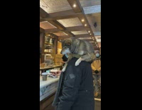 Guy in cafe has dog on his shoulders