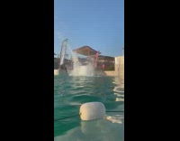 guy large white slide back flop